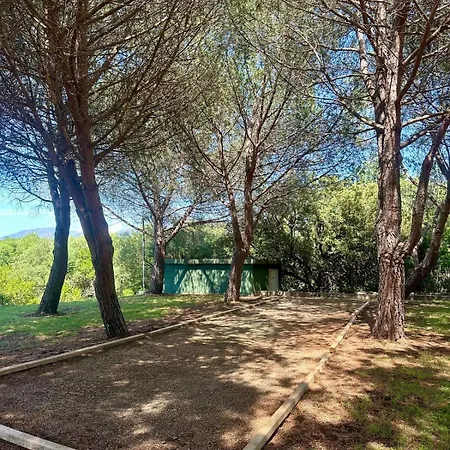 Di Legnu A Saint-florent