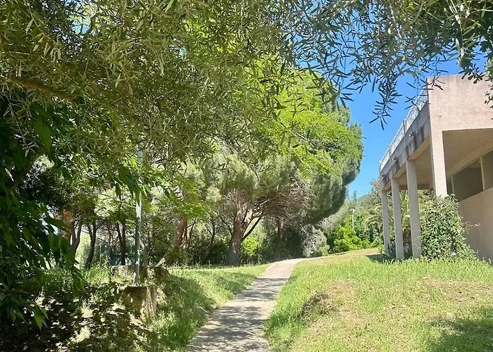 公寓 Di Legnu A Saint-florent