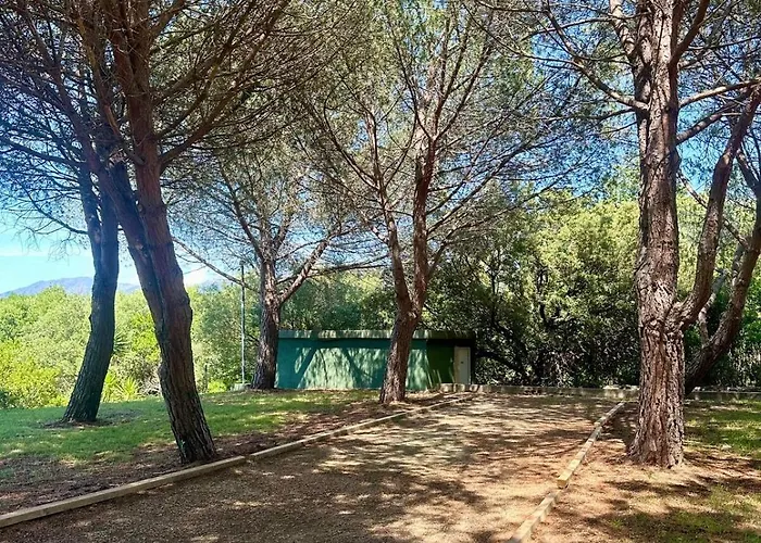 Di Legnu A Saint-florent